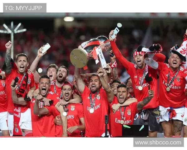 世界杯焦点战那不勒斯逆转本菲卡争议判罚引发全场热议