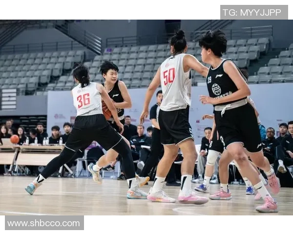 姚骏姚明兄弟情深共同奋斗成就篮球梦想的传奇故事