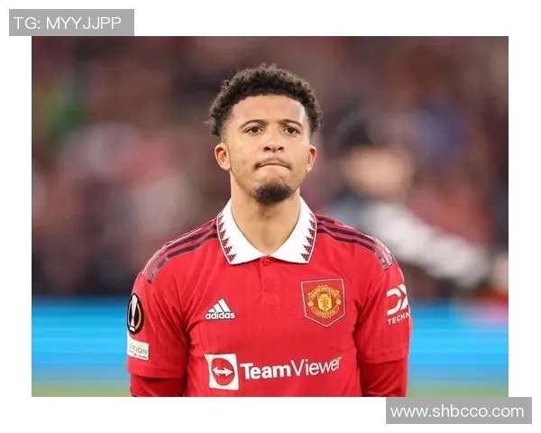 中超精彩对决曼联逆转多特蒙德绝杀瞬间震撼全场数据分析 中超精彩对决曼联逆转多特蒙德绝杀瞬间震撼全场数据分析